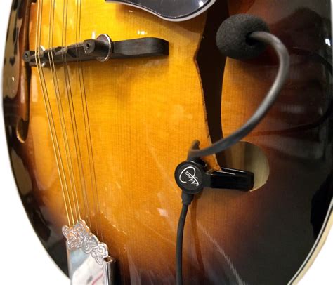 mandolin pickup vs mic