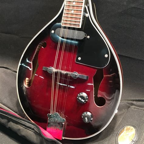 mandolin pickup with volume control