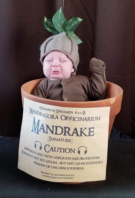 Baby mandrake Halloween costume & Professor Sprout harrypotterðŸ“¿ðŸ•¸ðŸŒ‘ðŸ•·