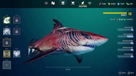 Maneater Ps4 Walkthrough