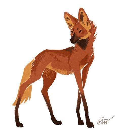 Angry Maned Wolf by nanaphiroth on DeviantArt