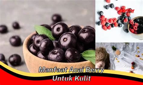 Temukan Manfaat Acai Berry untuk Kulit yang Jarang Diketahui