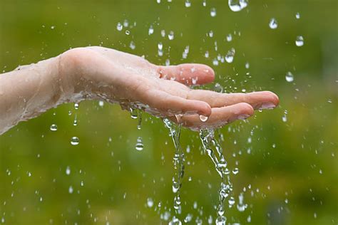 Temukan Segudang Khasiat Air Hujan untuk Kesuburan yang Jarang Orang Tahu