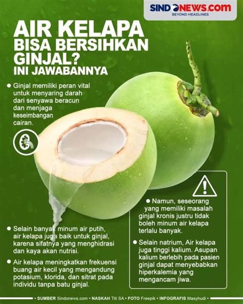 Temukan Rahasia Air Kelapa Hijau untuk Lambung Sehat Anda