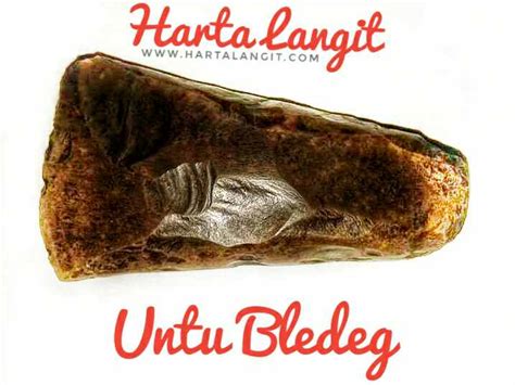 Manfaat Batu Gigi Petir untuk Kesehatan