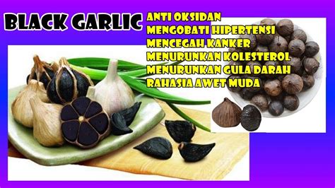 Jual Promo Murah Bawang Hitam Lanang 1000 gr ( Black Garlic Tunggal