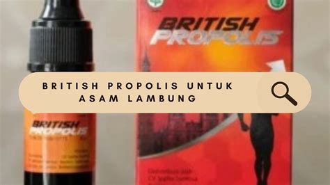 Manfaat British Propolis untuk Asam Lambung: Penemuan Langka yang Wajib Anda Tahu!