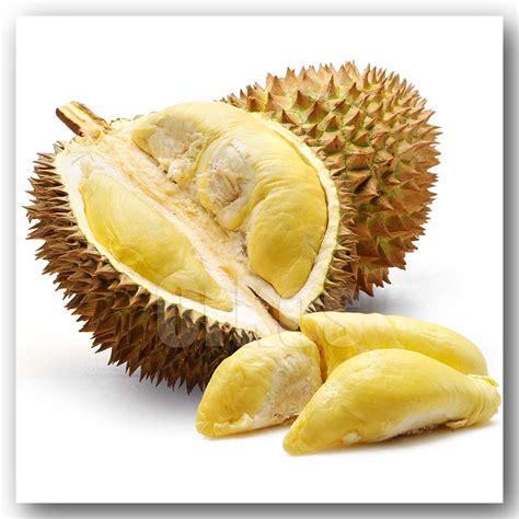 7 Manfaat Buah Durian Bagi Kesehatan Lifestyle News