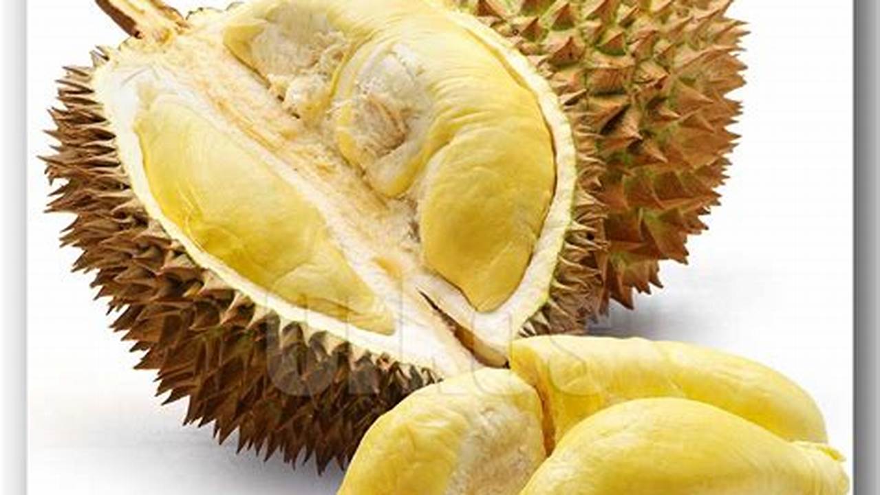 Manfaat Buah Durian yang Jarang Diketahui untuk Meningkatkan Kesehatan Anda
