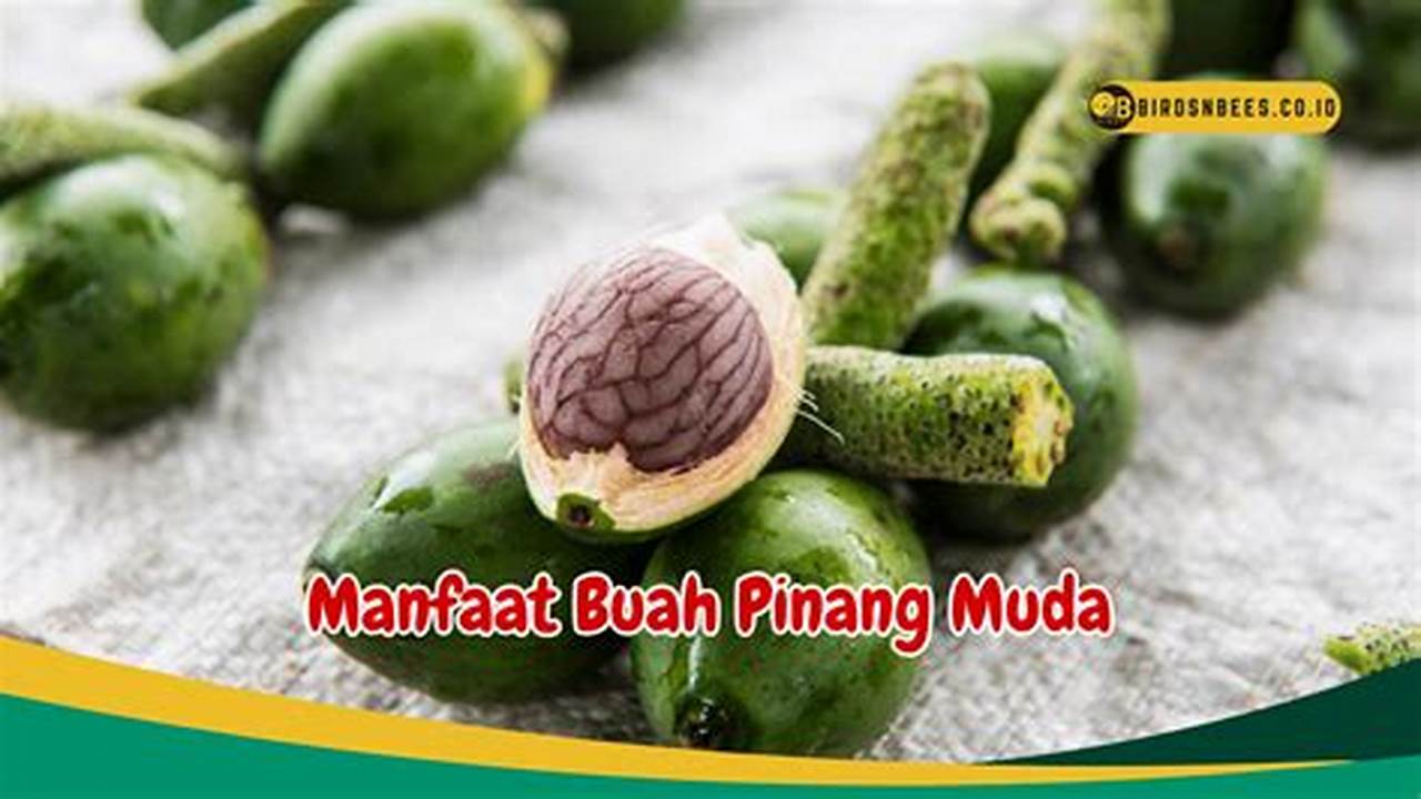 Manfaat Buah Pinang Muda untuk Daya Tahan Tubuh yang Jarang Diketahui