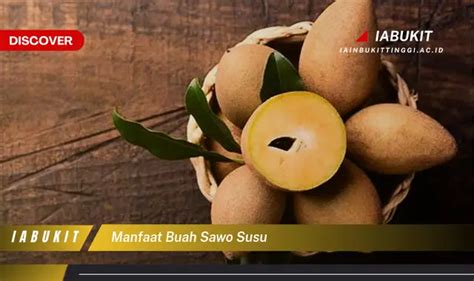 Temukan Manfaat Buah Sawo Susu yang Jarang Diketahui