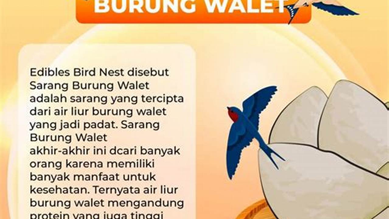 10 Manfaat Burung Walet yang Jarang Diketahui