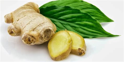 Menguak manfaat daun jahe yang baik untuk kesehatan Fumy HerbalAlam
