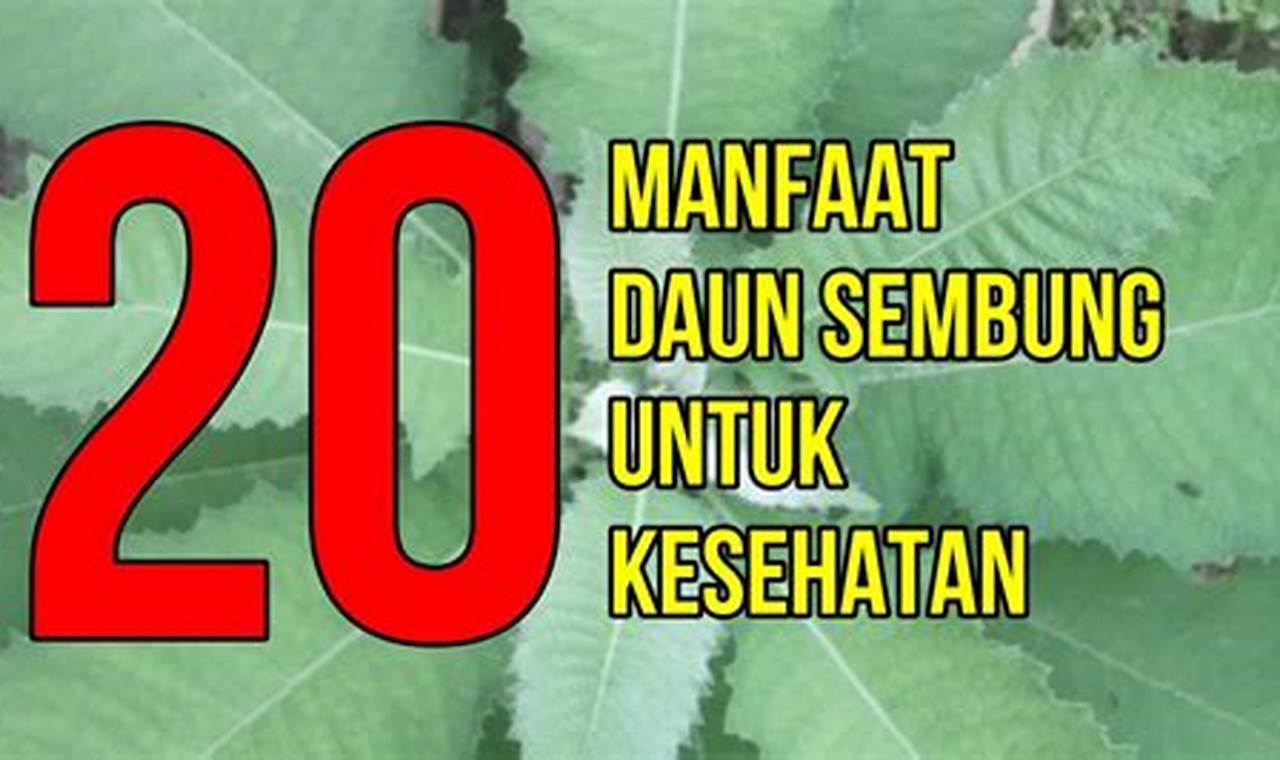 Temukan 7 Manfaat Daun Sembung yang Jarang Diketahui