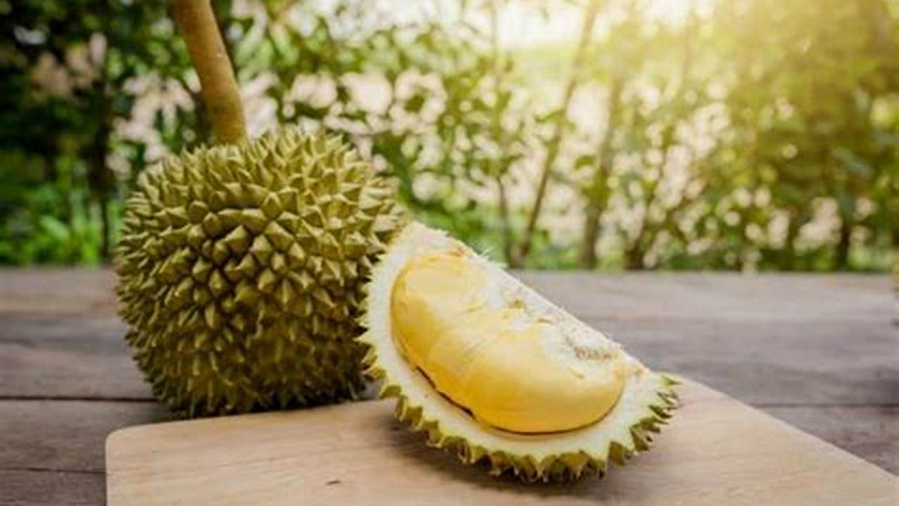 Manfaat Durian untuk Kesehatan: 10 Khasiat Istimewa yang Jarang Diketahui