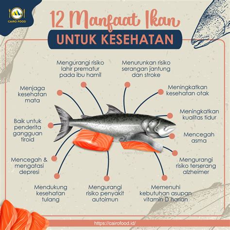 Temukan Manfaat Ikan Bagi Kesehatan Yang Jarang Diketahui, Wajib Tahu!