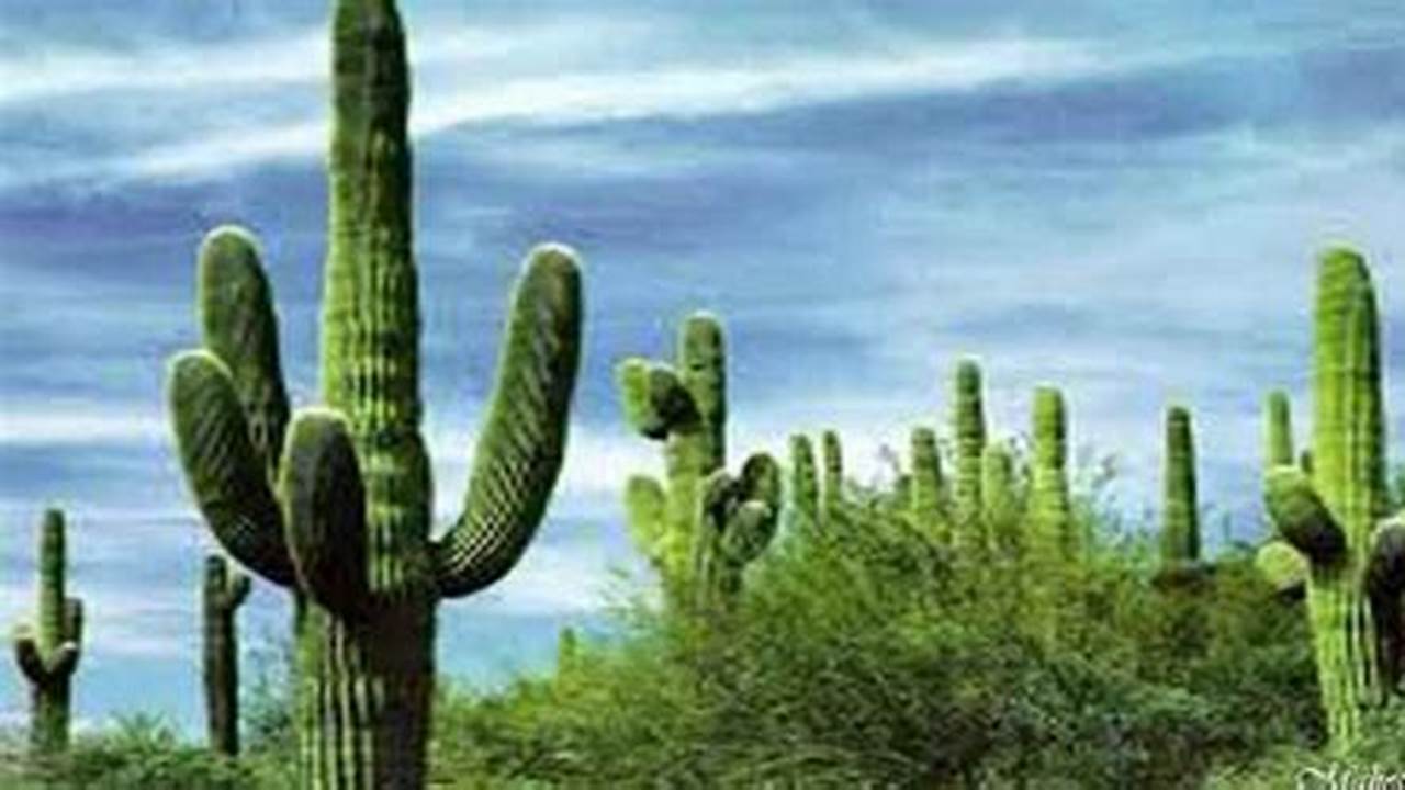 Manfaat Kaktus Bagi Lingkungan: Temuan dan Wawasan Eksklusif yang Belum Anda Ketahui