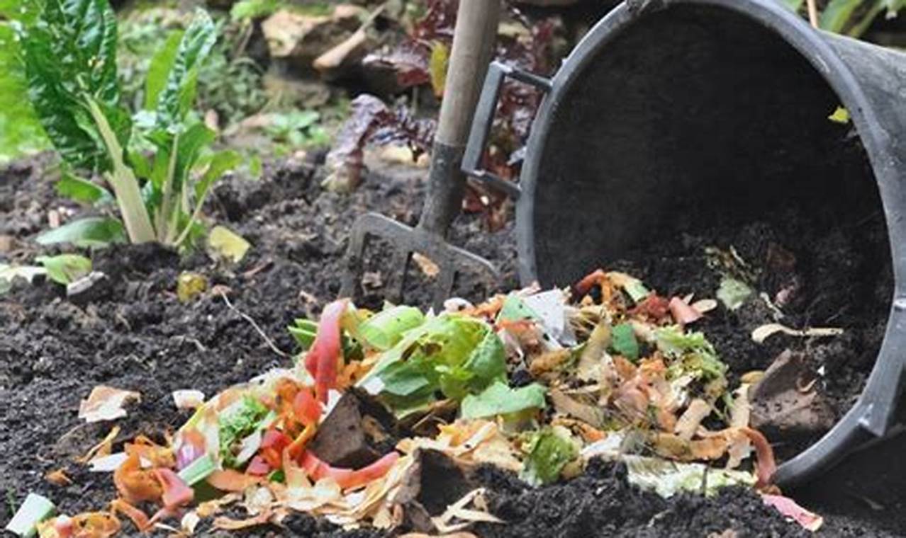 Temukan Manfaat Kompos Organik yang Jarang Diketahui