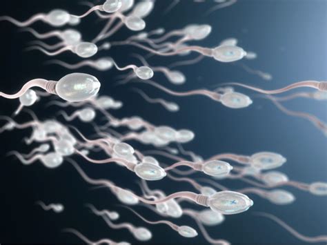 Meningkatkan Kualitas Sperma