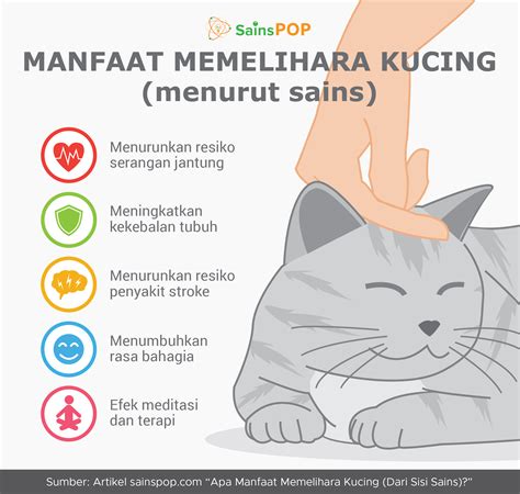 5 Manfaat Kucing Bagi Manusia dan Lingkungan yang Jarang Diketahui