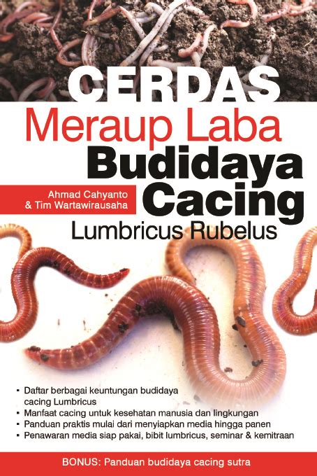 Manfaat Lumbricus Rubellus yang Jarang Diketahui, Wajib Dibaca!