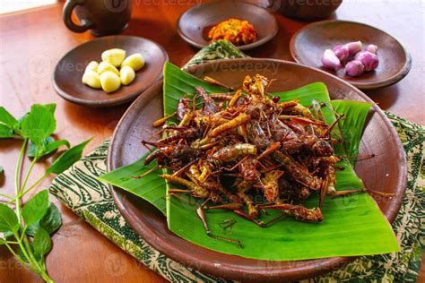 Temukan 10 Manfaat Makan Belalang Goreng yang Jarang Diketahui