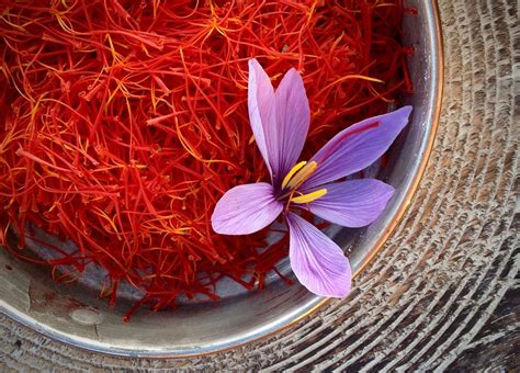 Temukan Manfaat Minum Saffron yang Jarang Diketahui