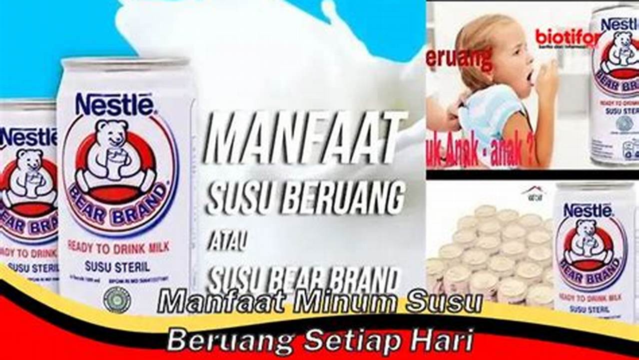 Temukan 10 Manfaat Minum Susu Beruang yang Jarang Diketahui