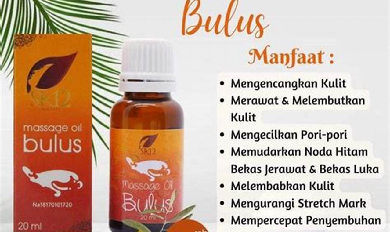 Temukan Manfaat Minyak Bulus SR12 yang Jarang Diketahui dan Menakjubkan