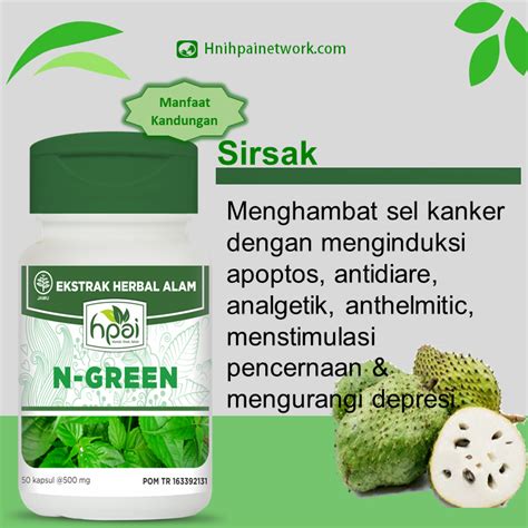 Temukan Manfaat N Green HPAI yang Jarang Diketahui, Wajib Anda Tahu!