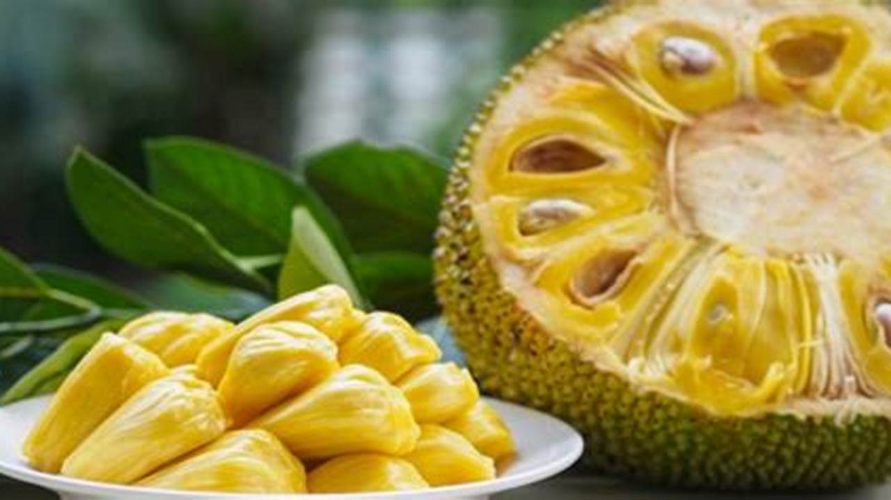 Temukan 10 Manfaat Nangka untuk Ibu Hamil yang Jarang Diketahui