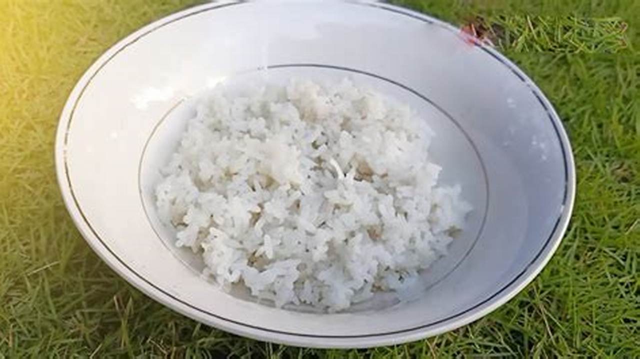 Temukan Manfaat Nasi Basi Untuk Tanaman yang Jarang Anda Ketahui