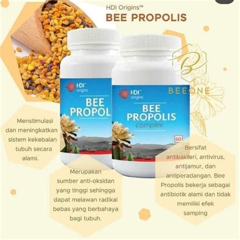 Manfaat Propolis HNI: Penemuan Mengejutkan yang Jarang Diketahui