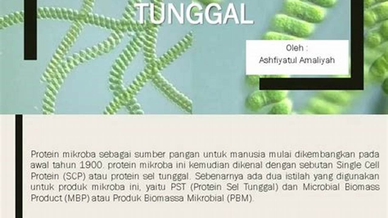 Temukan Manfaat Protein Sel Tunggal yang Akan Mengejutkan Anda