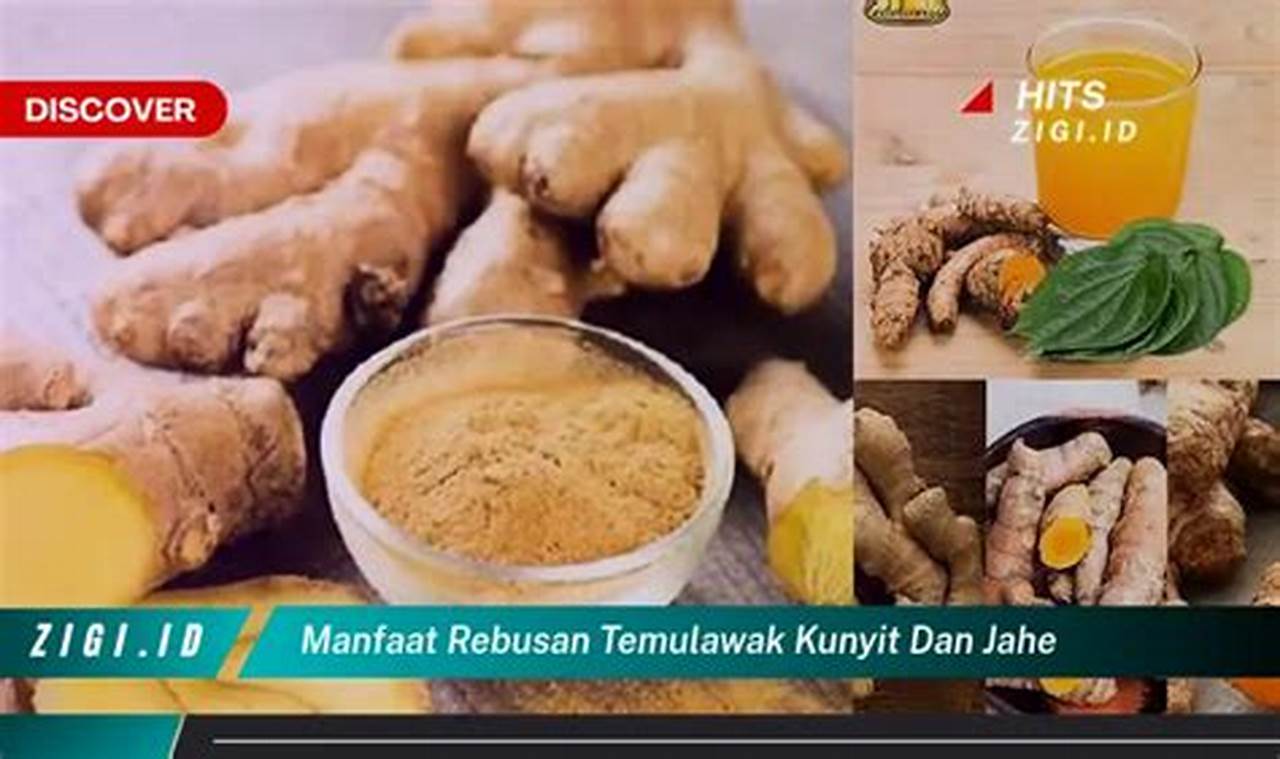 Ungkap Manfaat Rebusan Temulawak dan Jahe yang Jarang Diketahui