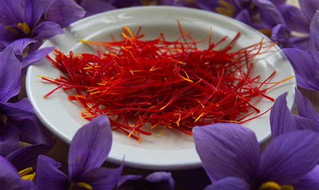 Temukan Manfaat Saffron untuk Kulit yang Jarang Diketahui