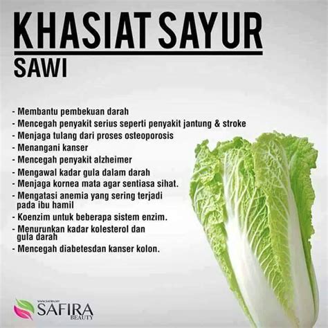 9 Manfaat Sayur Sawi yang Jarang Diketahui