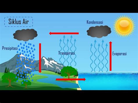 Ungkap Manfaat Siklus Air yang Jarang Diketahui