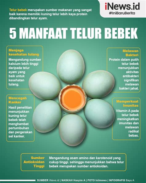 Temukan Beragam Manfaat STMJ Telur Bebek yang Jarang Diketahui