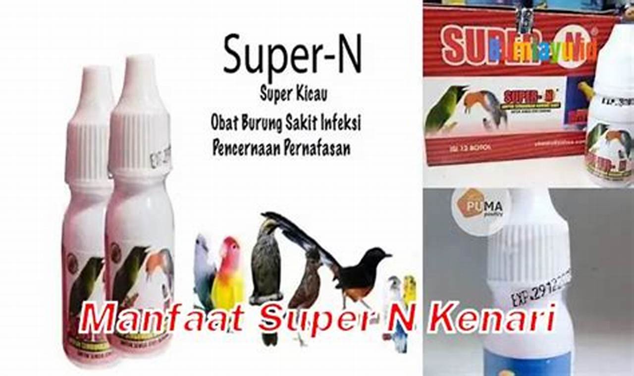 Temukan Khasiat Luar Biasa dari Super N Kenari yang Jarang Diketahui