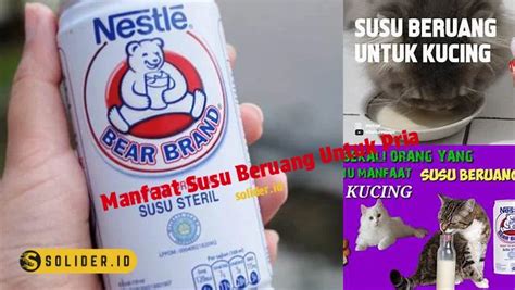 Temukan Manfaat Susu Beruang untuk Pria yang Jarang Diketahui!