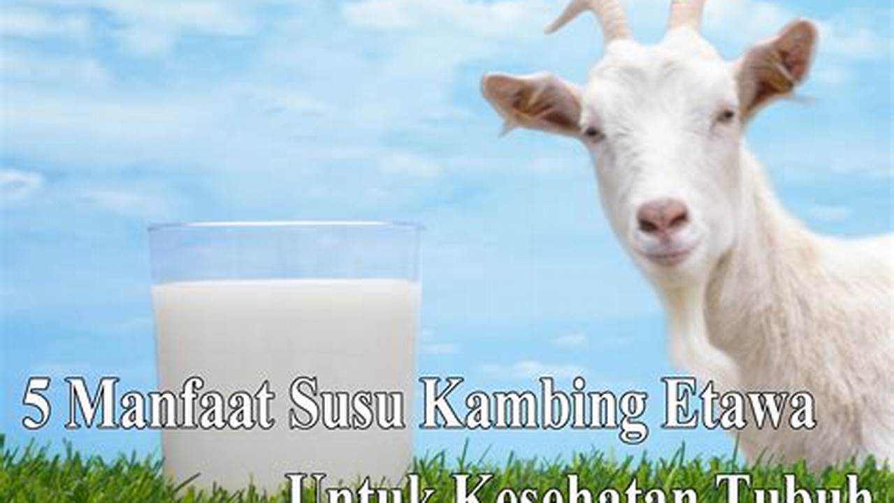 Temukan Manfaat Susu Kambing untuk Kesehatan yang Jarang Diketahui