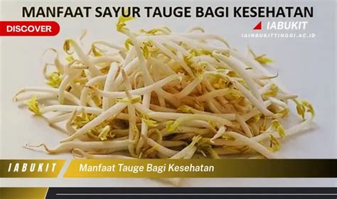 Manfaat Tauge Bagi Kesehatan: 9 Penemuan Jarang Diketahui