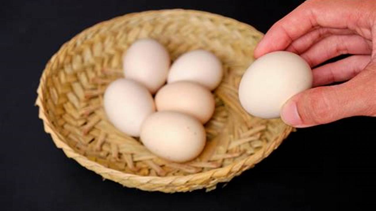 Manfaat Telur Ayam Kampung yang Jarang Diketahui
