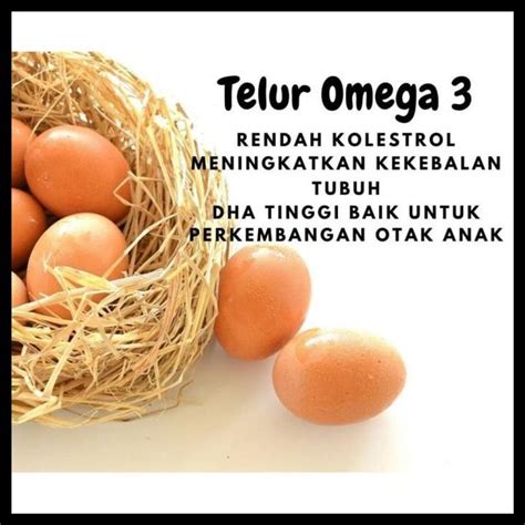 Manfaat Telur Omega 3, Apa Bedanya dengan Telur Ayam Biasa? PERSAGI