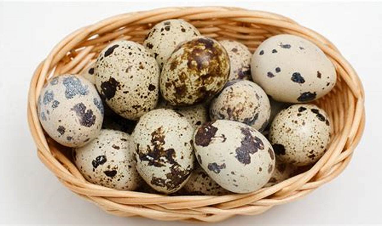 Manfaat Telur Puyuh untuk MPASI: Temuan dan Wawasan yang Menggiurkan