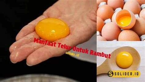 Temukan 8 Manfaat Telur untuk Rambut Keriting yang Jarang Diketahui