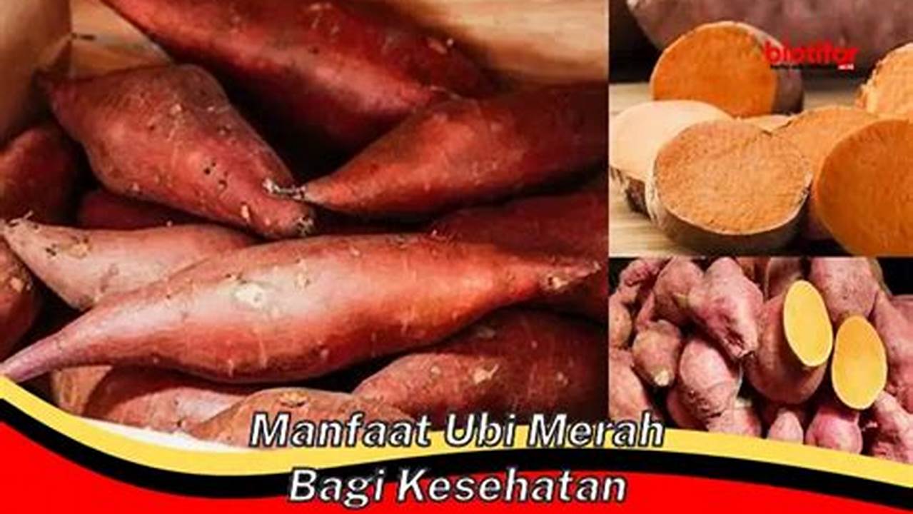 Temukan Manfaat Ubi Merah bagi Kesehatan yang Jarang Diketahui