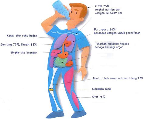 7 Manfaat Air yang Jarang Diketahui, Penting Untuk Kehidupan!