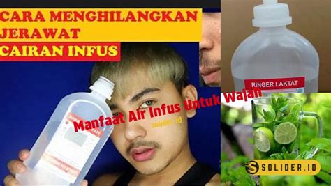 manfaat air infus